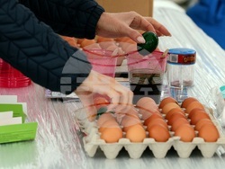 Великденски празник - „Голямото великденско боядисване на яйца“