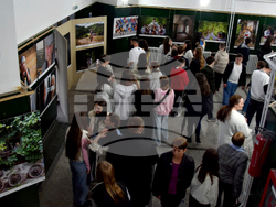 Сърбия - Босилеград - фотоизложба "Босилеград преди и сега“ - филм „Твърди черупки“