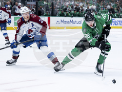 Avalanche Stars Hockey