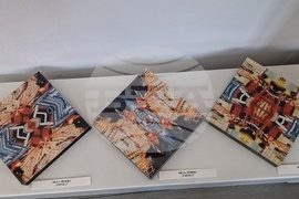 Троян - галерия „Серякова къща“ - пролетна изложба