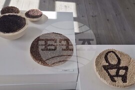 Троян - галерия „Серякова къща“ - пролетна изложба