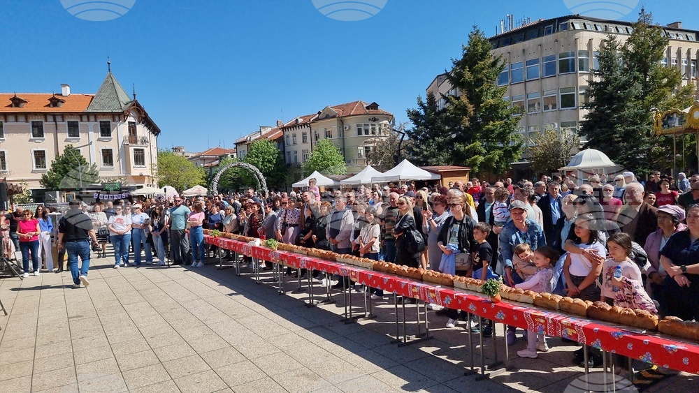 Враца - Великден - концерт - 100-метров козунак
