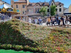 Враца - Великден - концерт - 100-метров козунак