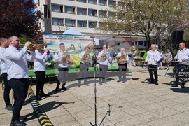 Враца - Великден - концерт - 100-метров козунак