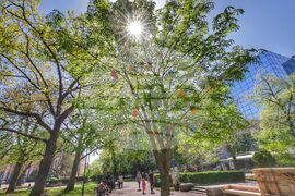 Великден - празнична украса