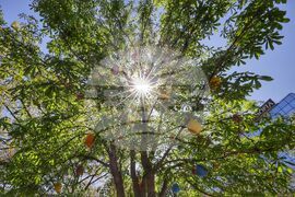 Великден - празнична украса