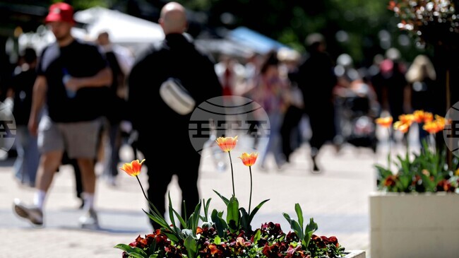 За промяна на методиката за определяне на линията на бедност се обявяват от КТ „Подкрепа“ и КНСБ