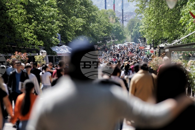 Over 30% of Bulgarians at Risk of Poverty, Social Exclusion in 2024