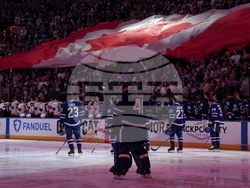 Senators Maple Leafs Hockey