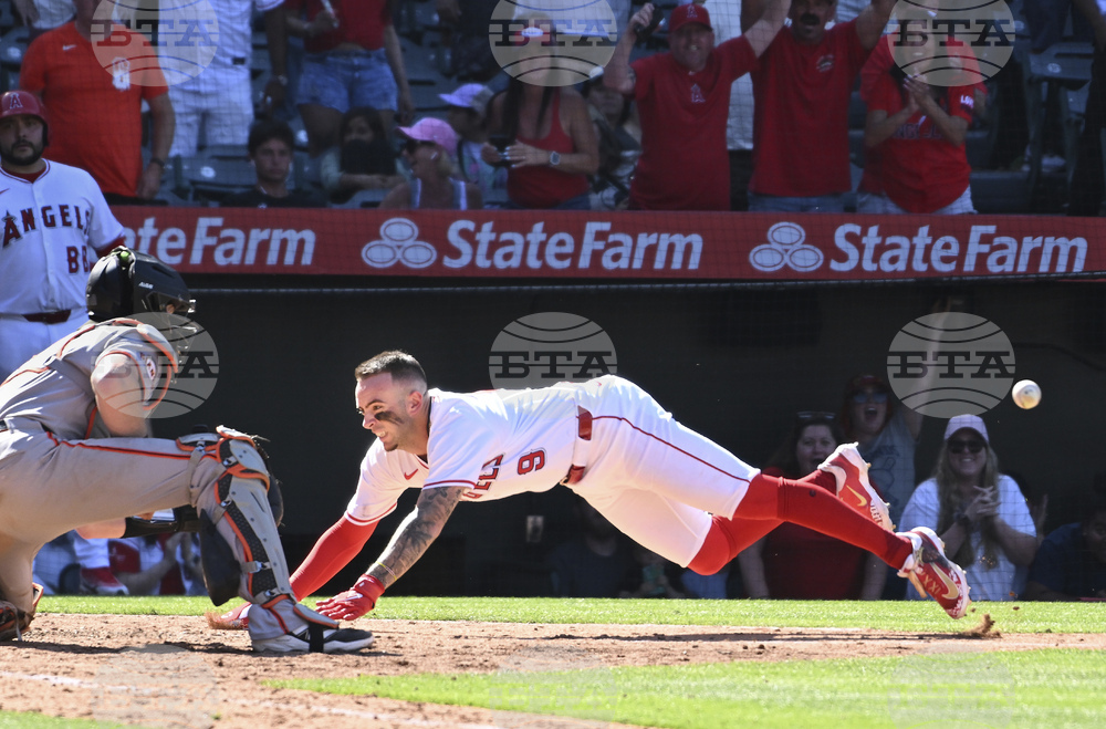 Giants Angels Baseball