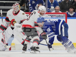 Senators Maple Leafs Hockey