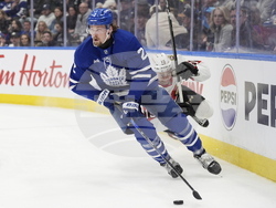 Senators Maple Leafs Hockey