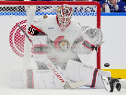 Senators Maple Leafs Hockey