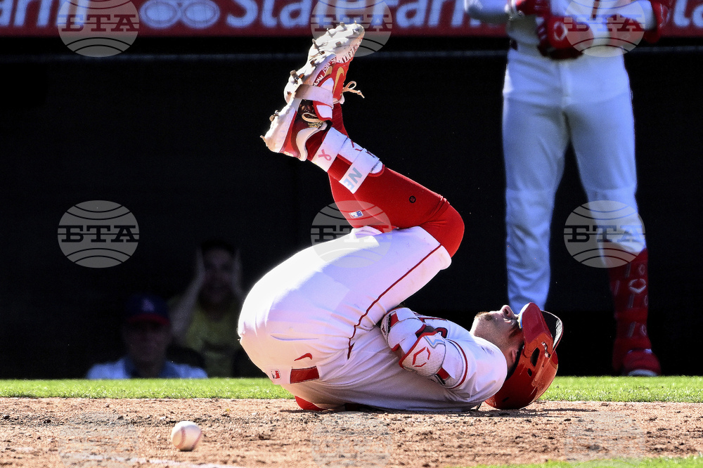 Giants Angels Baseball