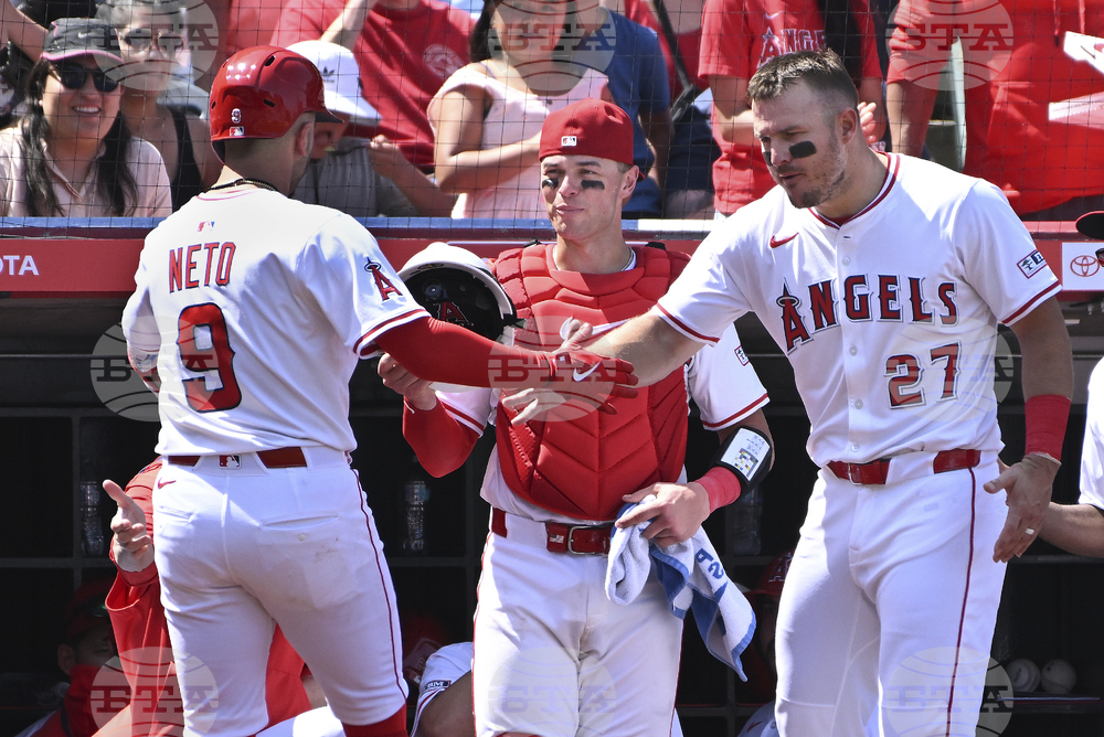 Giants Angels Baseball