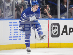 Senators Maple Leafs Hockey