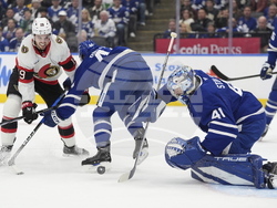 Senators Maple Leafs Hockey