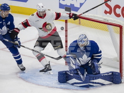 Senators Maple Leafs Hockey