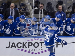 Senators Maple Leafs Hockey