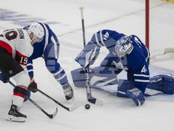 Senators Maple Leafs Hockey