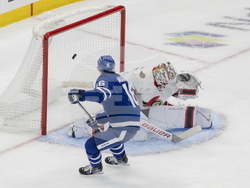 Senators Maple Leafs Hockey