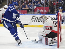 Senators Maple Leafs Hockey