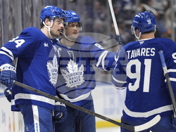 Senators Maple Leafs Hockey