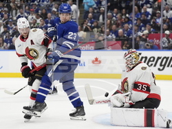 Senators Maple Leafs Hockey