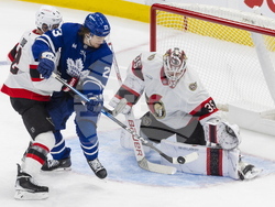 Senators Maple Leafs Hockey