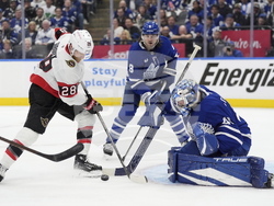 Senators Maple Leafs Hockey