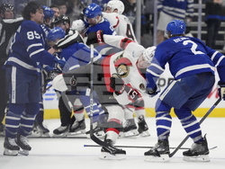Senators Maple Leafs Hockey