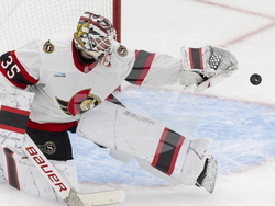 Senators Maple Leafs Hockey