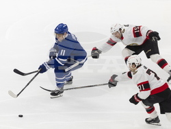 Senators Maple Leafs Hockey