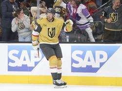 Wild Golden Knights Hockey