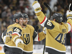 Wild Golden Knights Hockey