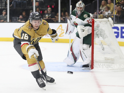 Wild Golden Knights Hockey