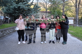 Бачковски манастир - чудотворна икона на Света Богородица