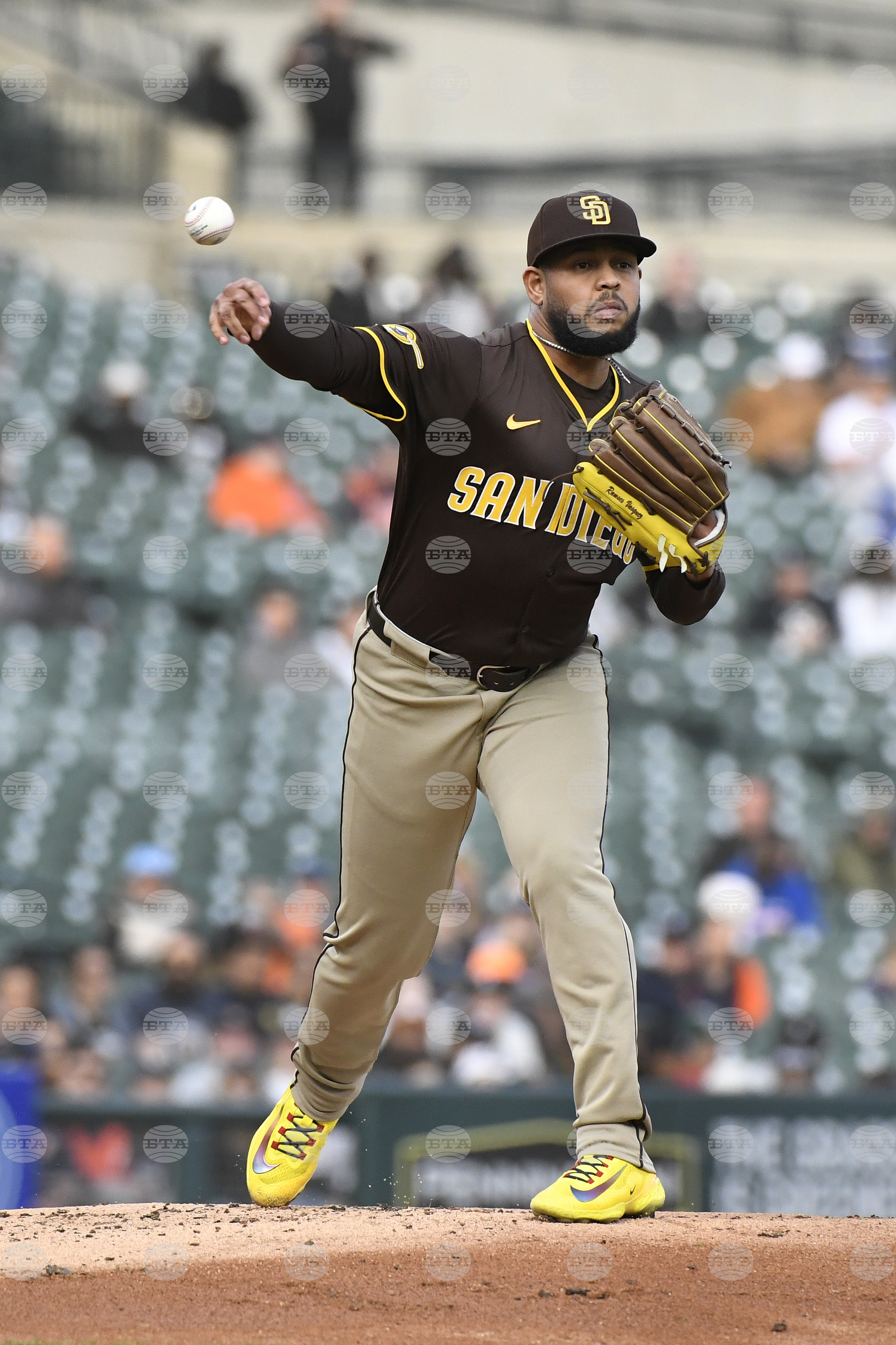 Padres Tigers Baseball