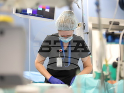 Снимка: Военномедицинска академия