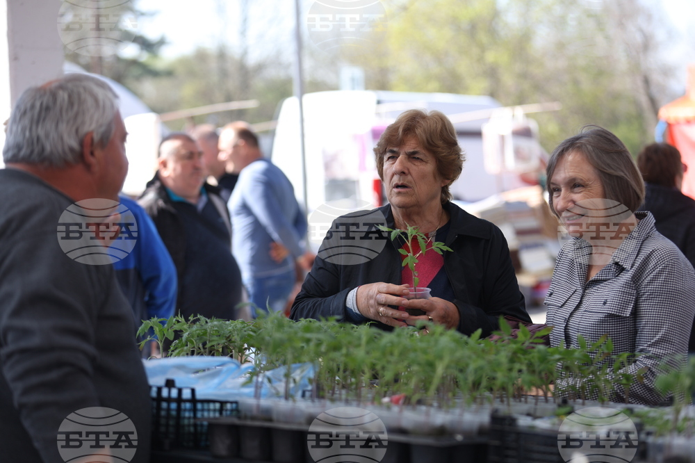 Божурище - Общински пазар - откриване 