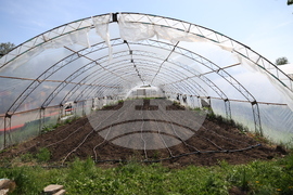 Божурище - градина „Вдъхновение”