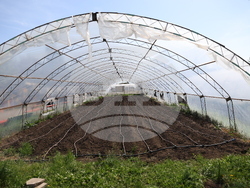 Божурище - градина „Вдъхновение”