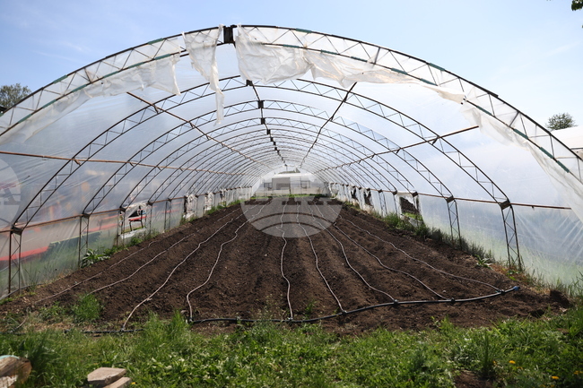 До 30 септември се удължава крайният срок за изпълнение на подадени през 2024 г. проекти по две подмерки от ПРСР 2014-2020 г.