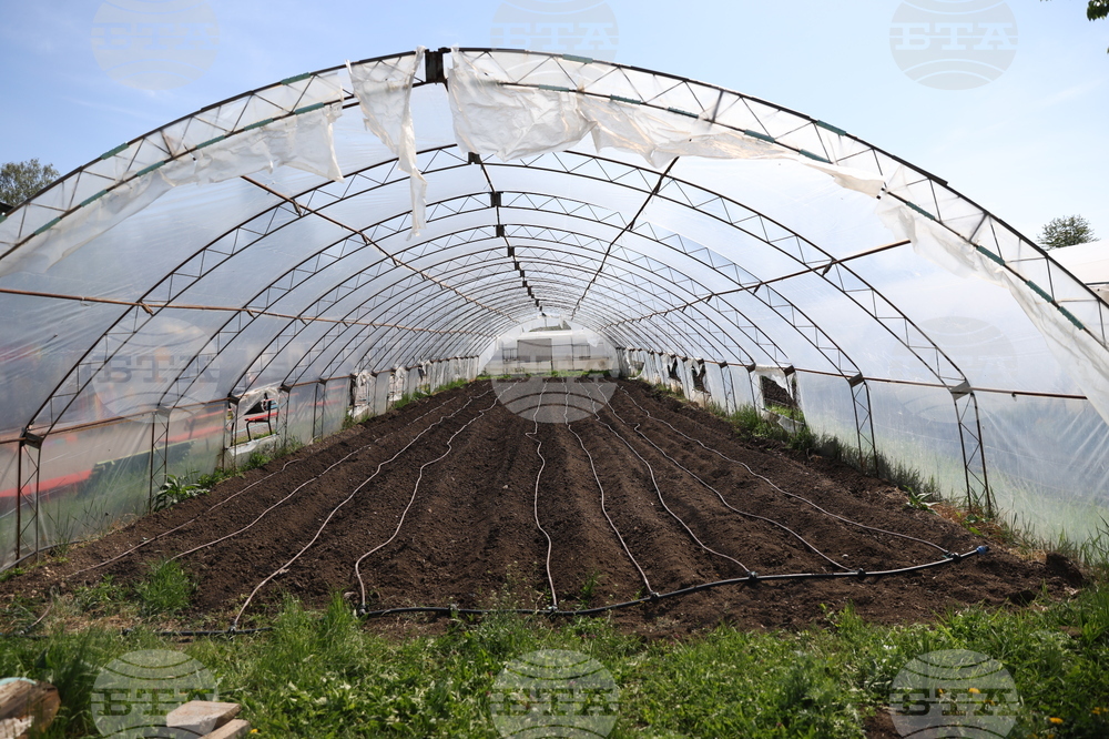 Божурище - градина „Вдъхновение”