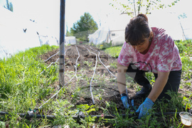 Божурище - градина „Вдъхновение”