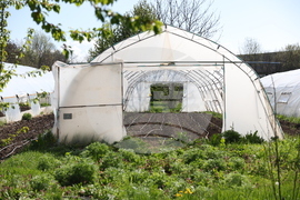 Божурище - градина „Вдъхновение”