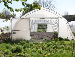 Божурище - градина „Вдъхновение”