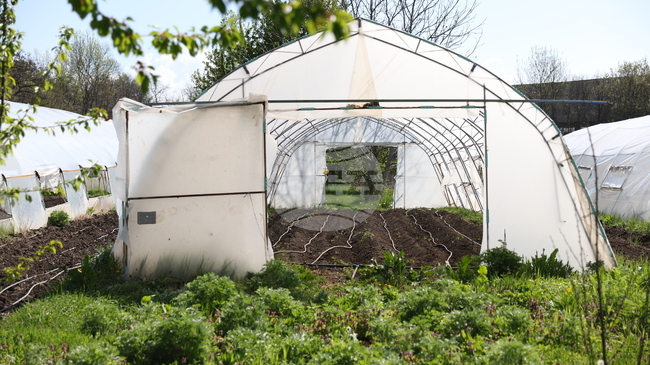 Над 9 млн. евро отпуска Държавен фонд „Земеделие“ за борба с вредителите