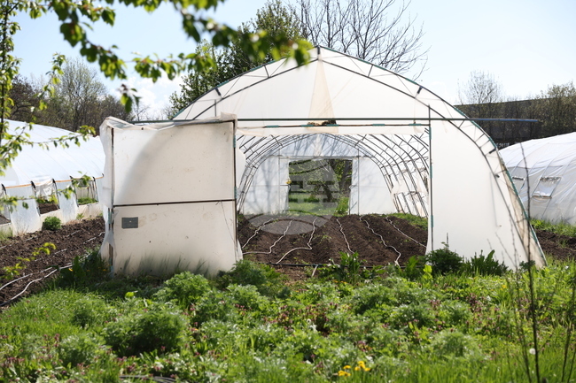 Над 9 млн. евро отпуска Държавен фонд „Земеделие“ за борба с вредителите