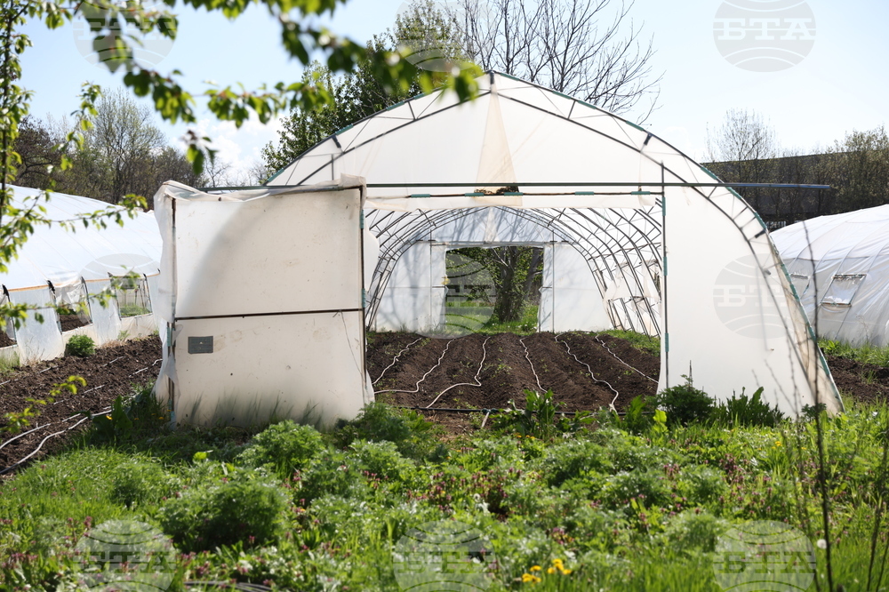 Божурище - градина „Вдъхновение”